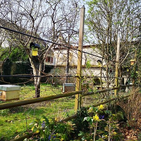 Villa Le Cloky Thomery Екстериор снимка